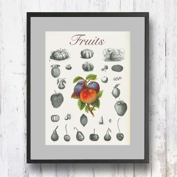 תמונת וינטאג׳ - Fruits, פירות, סדרת רטרו, הום סטיילינג, תמונה לבית, הדפס איכותי על נייר, רעיון למתנה