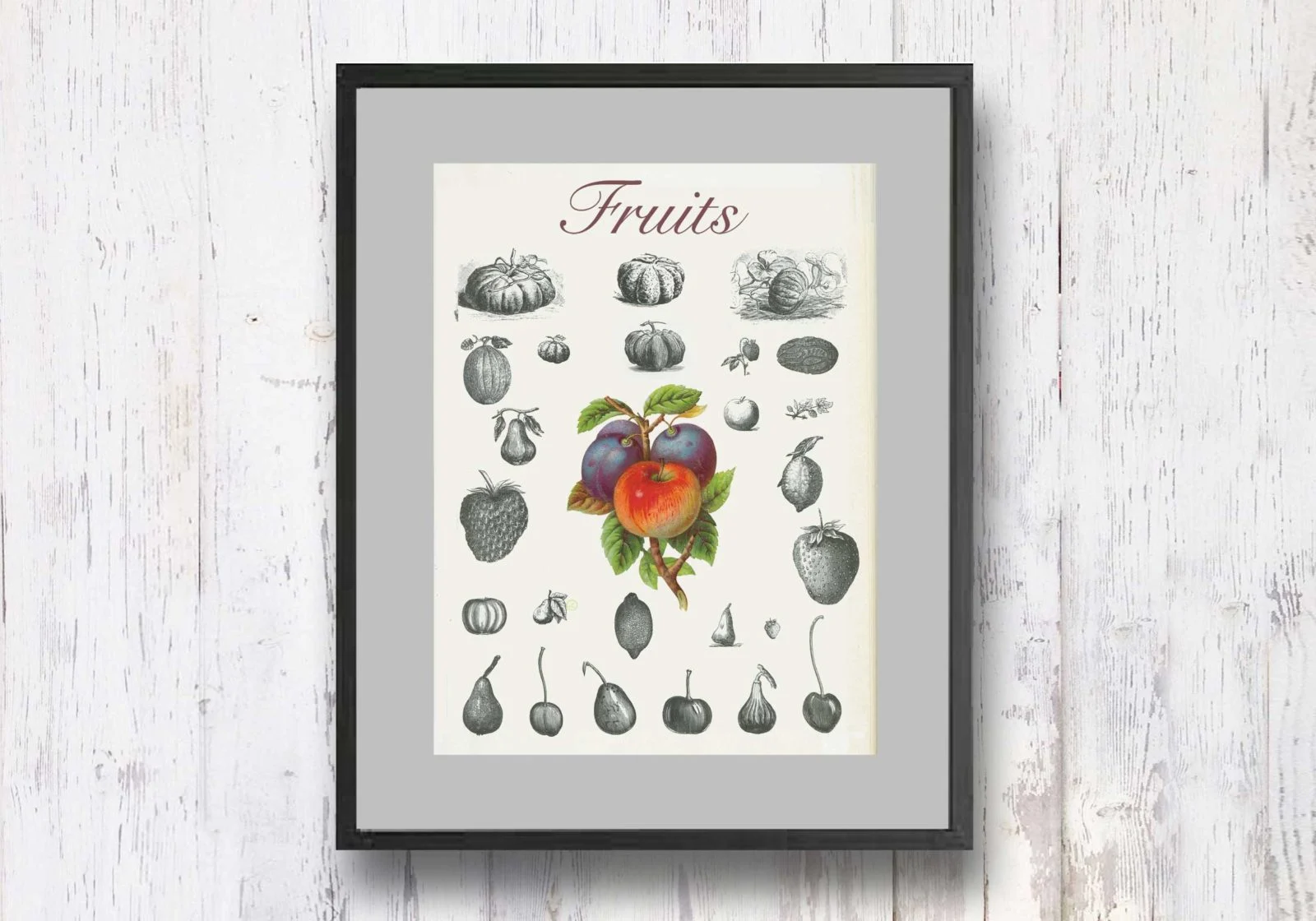 תמונת וינטאג׳ - Fruits, פירות, סדרת רטרו, הום סטיילינג, תמונה לבית, הדפס איכותי על נייר, רעיון למתנה