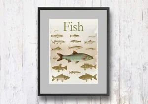 תמונת וינטאג׳ - Fish, דגים, סדרת רטרו, הום סטיילינג, תמונה לבית, הדפס איכותי על נייר, רעיון למתנה – תמונה 1