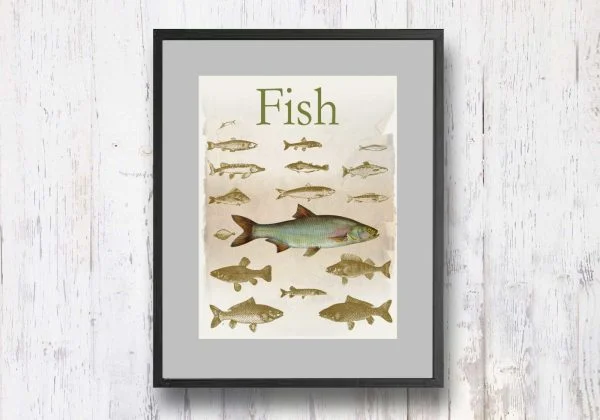 תמונת וינטאג׳ - Fish, דגים, סדרת רטרו, הום סטיילינג, תמונה לבית, הדפס איכותי על נייר, רעיון למתנה