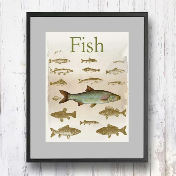 תמונת וינטאג׳ - Fish, דגים, סדרת רטרו, הום סטיילינג, תמונה לבית, הדפס איכותי על נייר, רעיון למתנה