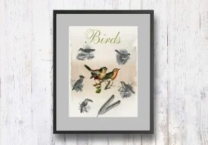 תמונת וינטאג׳ - Birds, ציפורים, סדרת רטרו, הום סטיילינג, תמונה לבית, הדפס איכותי על נייר, רעיון למתנה – תמונה 1