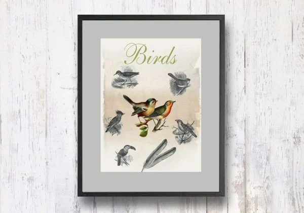 תמונת וינטאג׳ - Birds, ציפורים, סדרת רטרו, הום סטיילינג, תמונה לבית, הדפס איכותי על נייר, רעיון למתנה