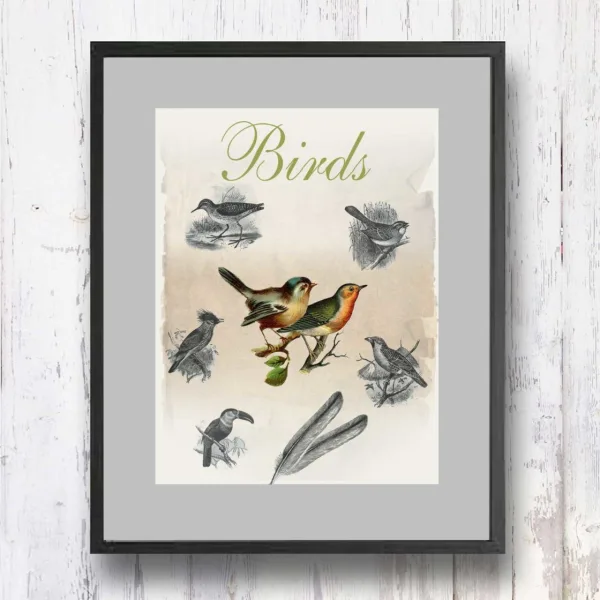 תמונת וינטאג׳ - Birds, ציפורים, סדרת רטרו, הום סטיילינג, תמונה לבית, הדפס איכותי על נייר, רעיון למתנה