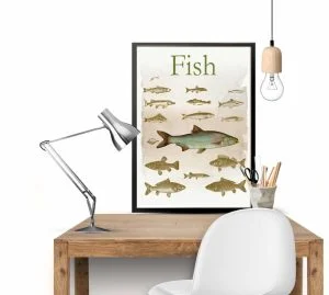 תמונת וינטאג׳ - Fish, דגים, סדרת רטרו, הום סטיילינג, תמונה לבית, הדפס איכותי על נייר, רעיון למתנה – תמונה 2