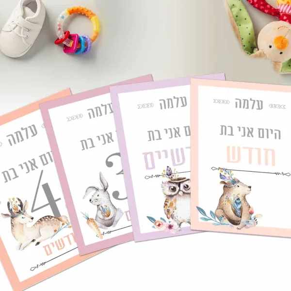 גלויות חודשים לתיעוד השנה הראשונה של התינוקת