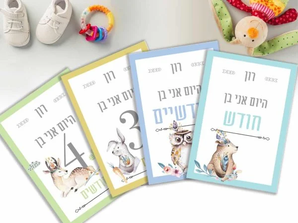 גלויות חודשים לתיעוד השנה הראשונה של התינוק. דגם בנים