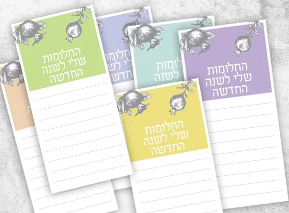 החלומות שלי לשנה החדשה