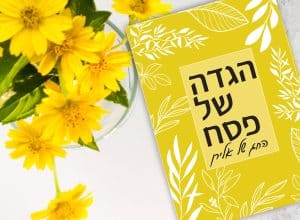, איך להכין את הבית לפסח בלי להשתגע