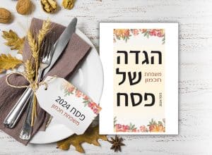 , איך להכין את הבית לפסח בלי להשתגע