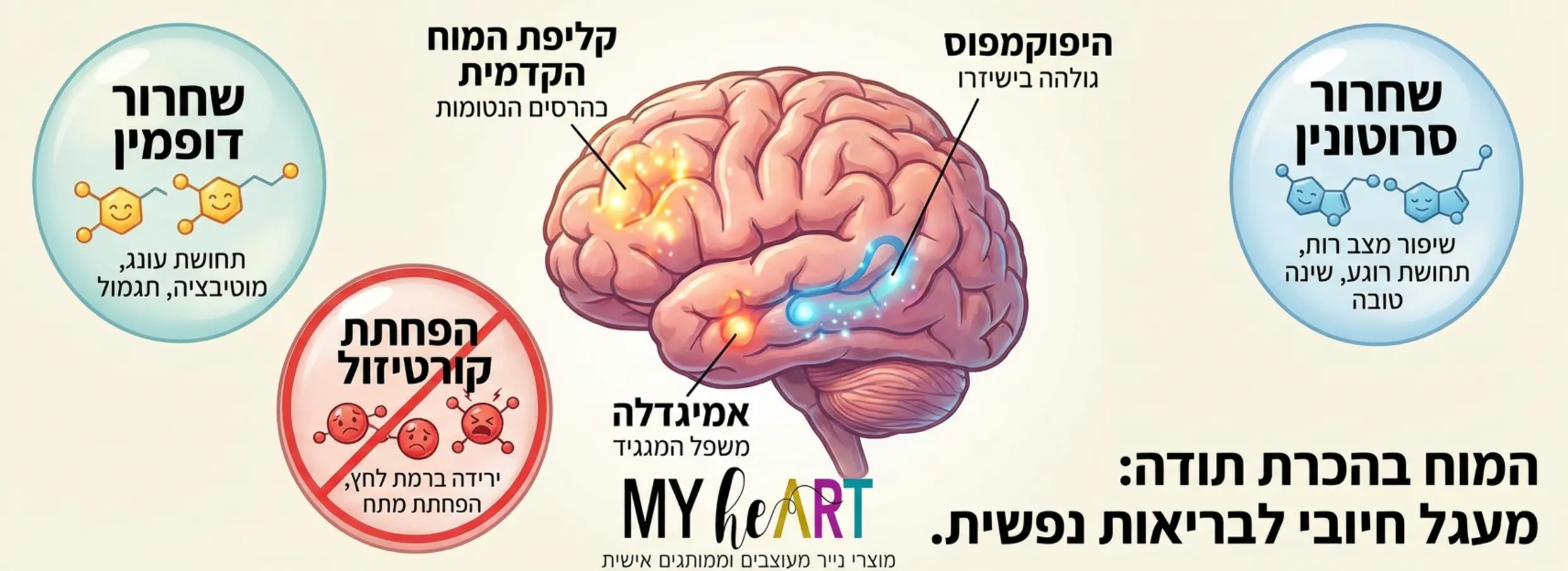 אמנות הכרת התודה: איך יומן אישי משנה פרופורציות 1 , אמנות הכרת התודה: איך יומן אישי משנה פרופורציות