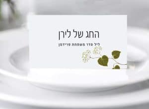איך להכין את הבית לפסח בלי להשתגע 1 , איך להכין את הבית לפסח בלי להשתגע