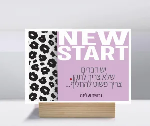 קולקציות גרושות ועליזות – תמונה 2