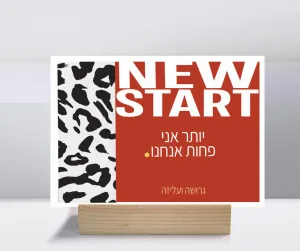 קולקציות גרושות ועליזות – תמונה 4