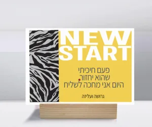 קולקציות גרושות ועליזות – תמונה 1