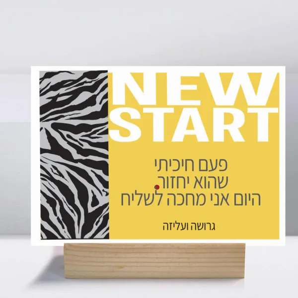 קולקציות גרושות ועליזות