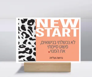 קולקציות גרושות ועליזות – תמונה 6