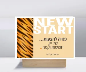 קולקציות גרושות ועליזות לוח השראה ופנקס ממו מגנט – תמונה 4
