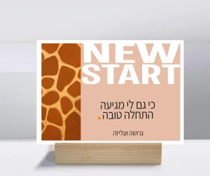 קולקציות גרושות ועליזות לוח השראה ופנקס ממו מגנט – תמונה 7