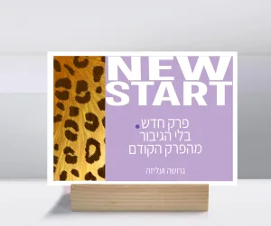 קולקציות גרושות ועליזות לוח השראה ופנקס ממו מגנט – תמונה 6