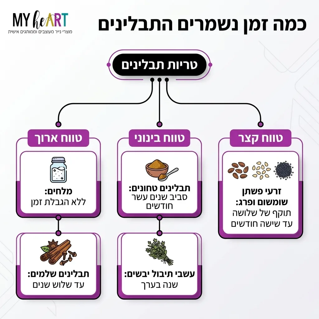 מהפך במטבח: כך תסדרו את מגירת התבלינים ותהפכו את הבישול למהנה 5 אינפוגרפיקה — כמה זמן נשמרים התבלינים: טריות תבלינים