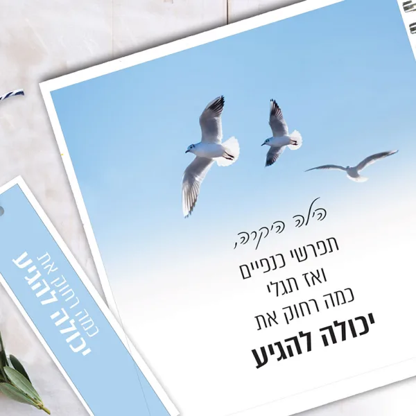 מחברת מרובעת ״תפרשי כנפיים״